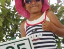 Jeudi 21 Juillet 2016_2