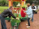Fête des fleurs 2014_1 Fête des fleurs 2014_1