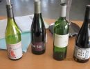 Corbières rouge_3