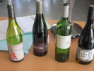 Corbières rouge_3