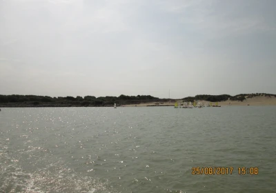 Sorties en catamaran